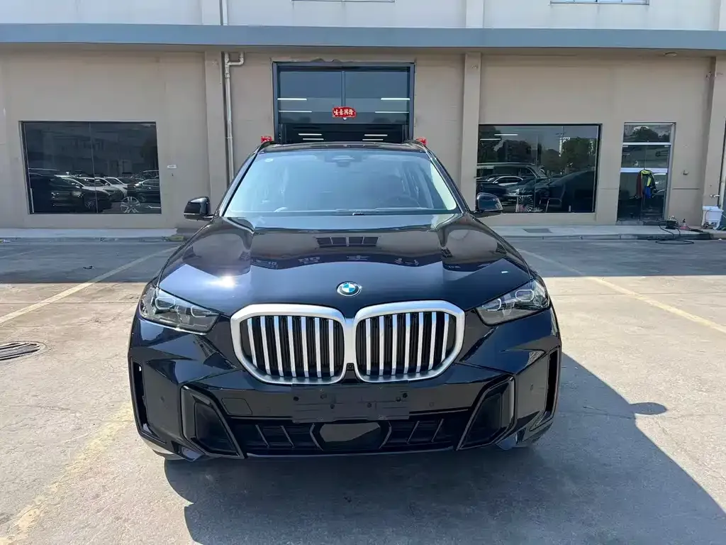 BMW X5 2025 из CN, фото 8