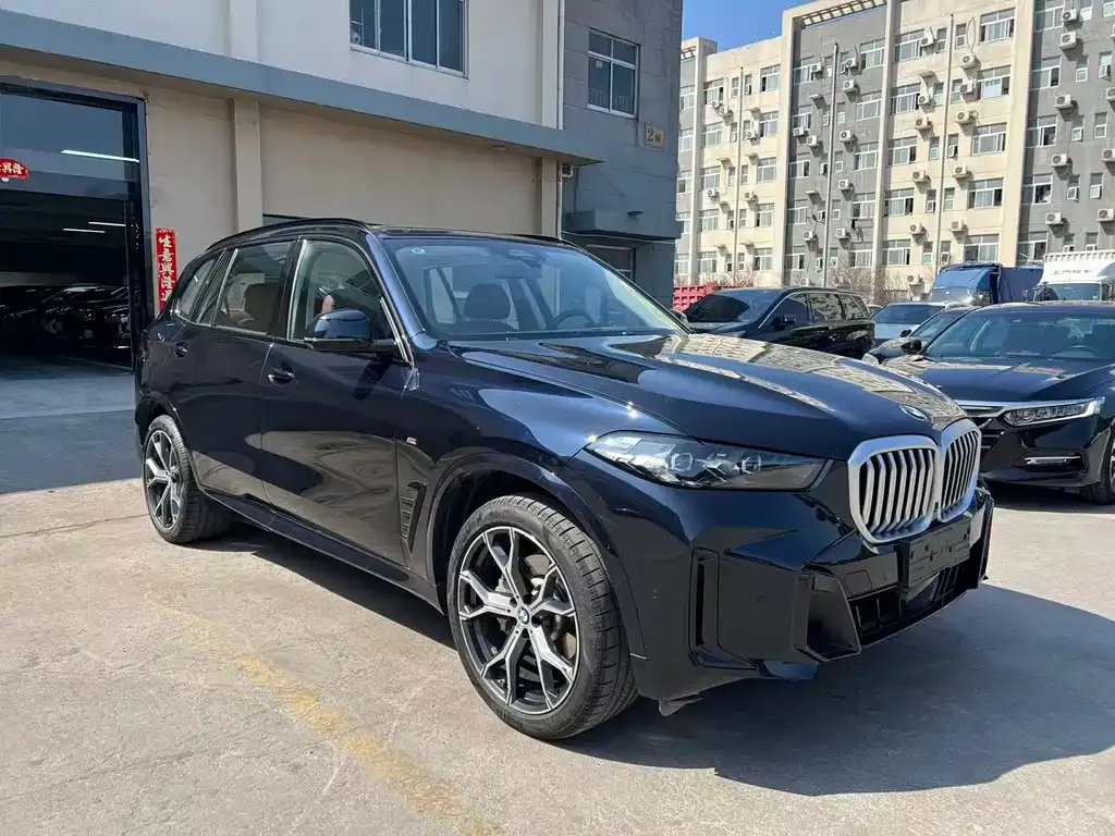 BMW X5 2025 из CN, фото 9