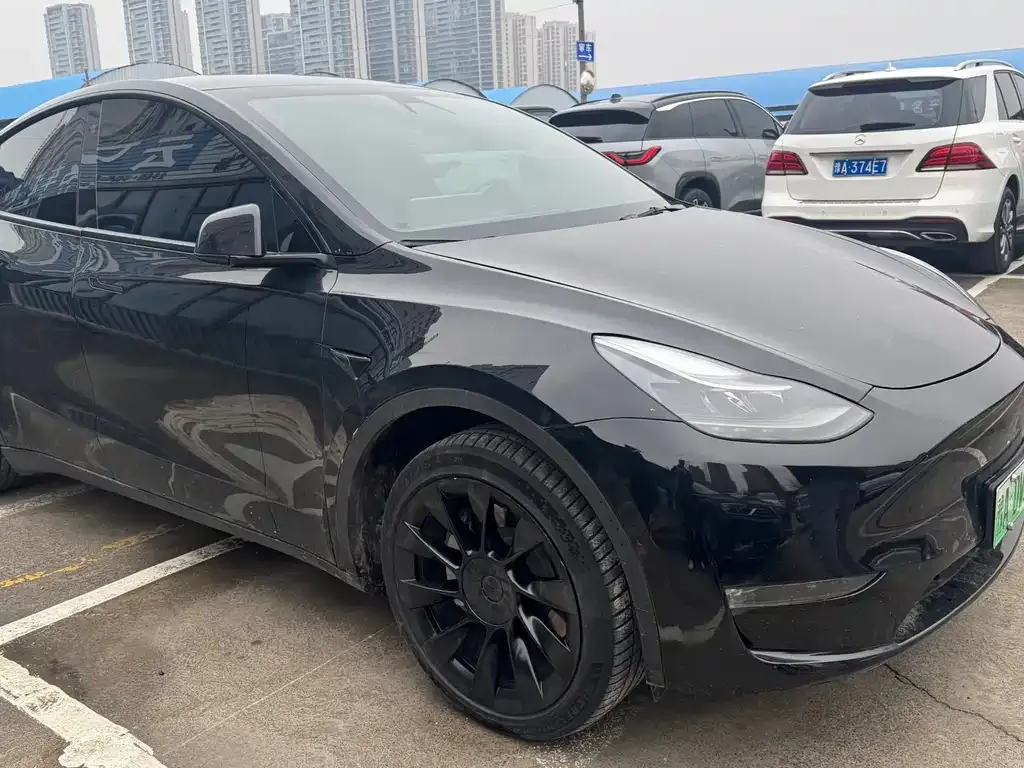 Tesla Model Y — фото 2
