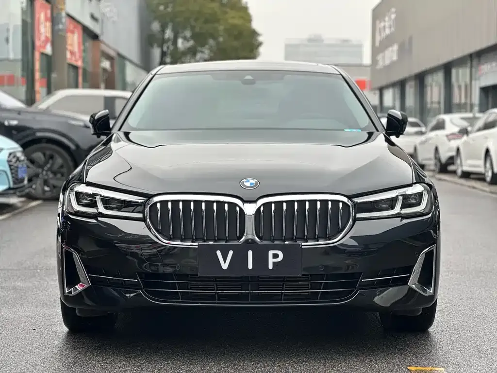 BMW 5 Series 2022 из CN, фото 9