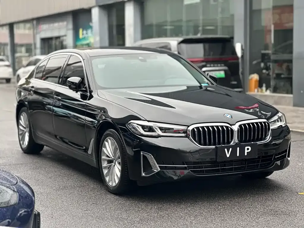 BMW 5 Series 2022 из CN, фото 8
