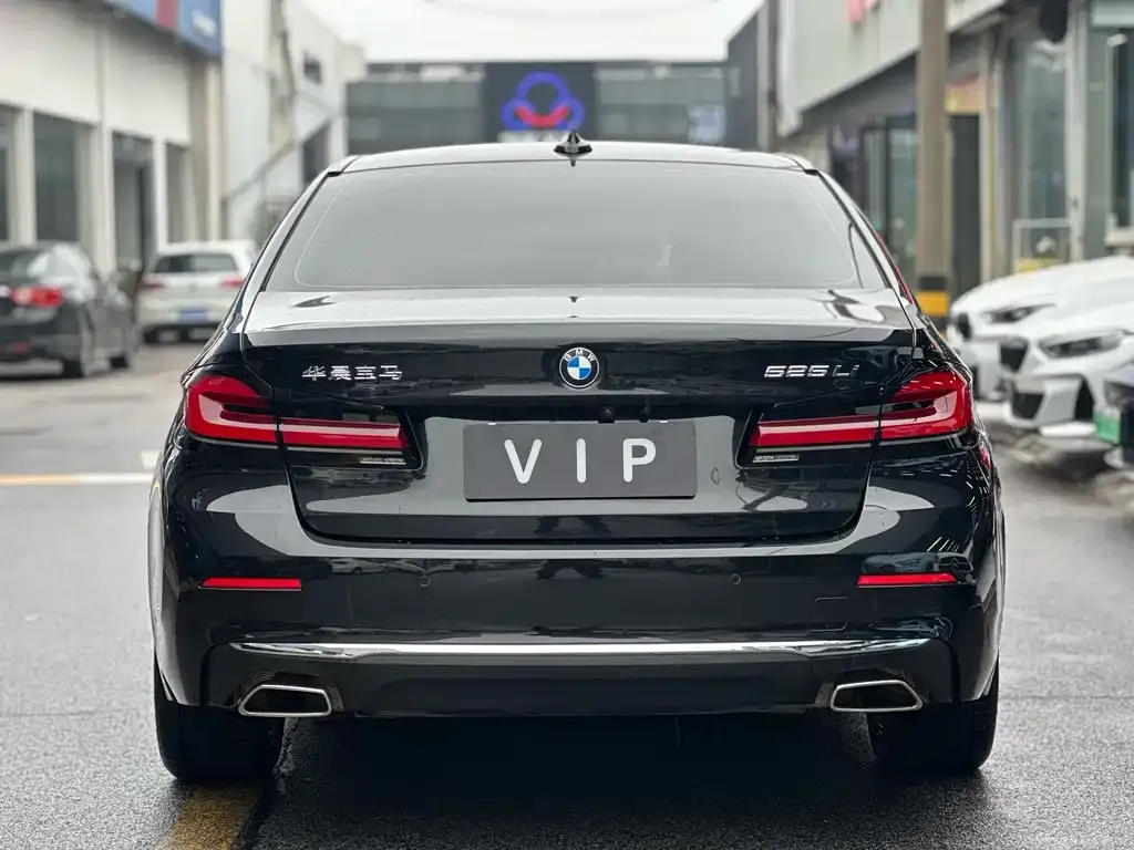 BMW 5 Series 2022 из CN, фото 4