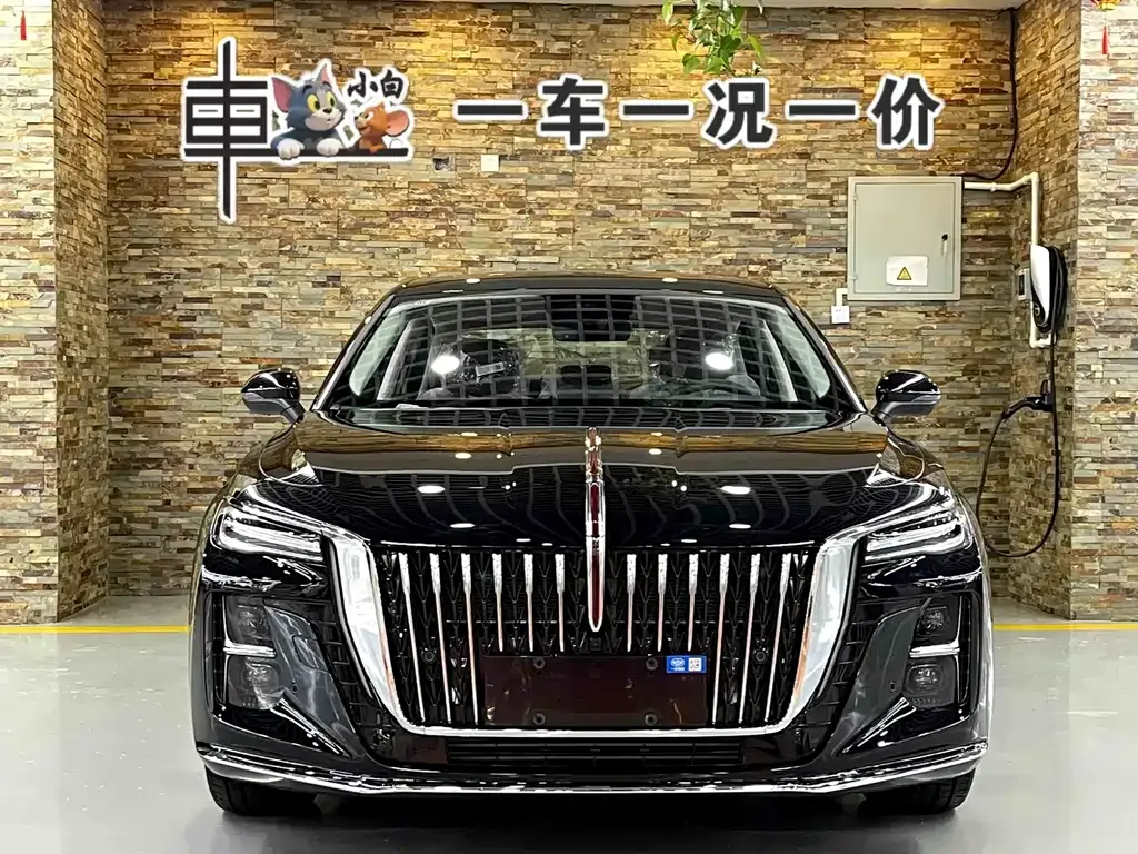 Hongqi H5 — фото 9