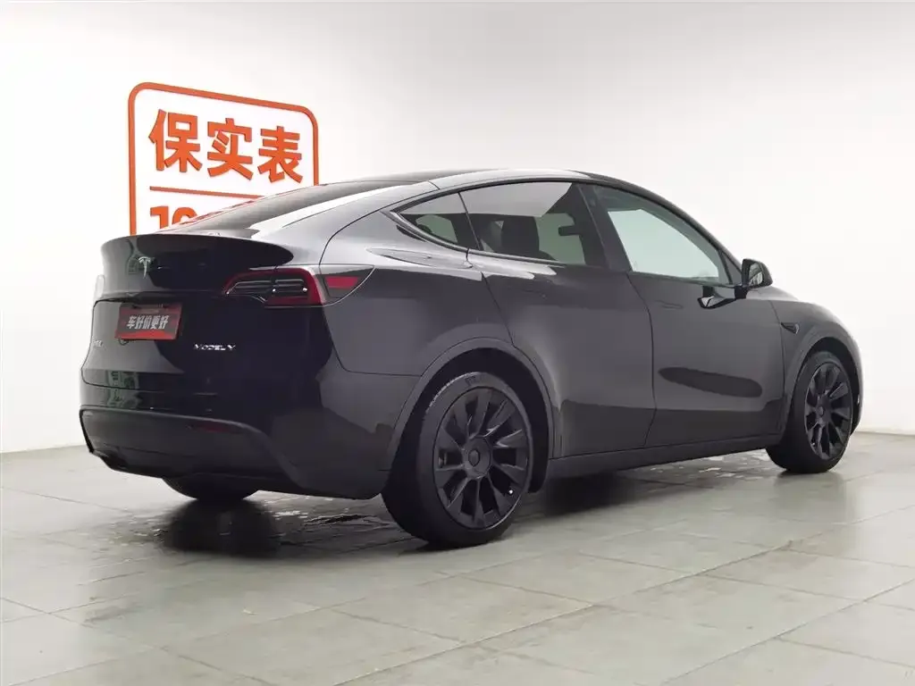 Tesla Model Y 2021 из CN, фото 2