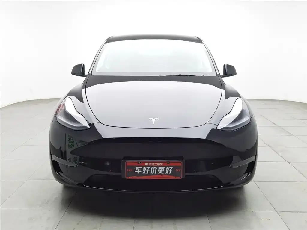 Tesla Model Y 2021 из CN, фото 7