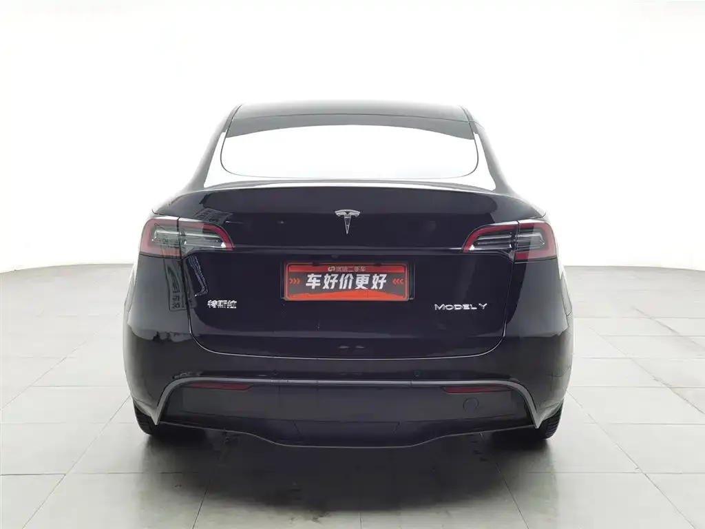 Tesla Model Y 2021 из CN, фото 6