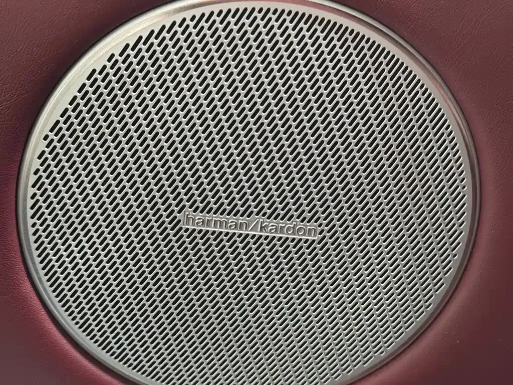 Tank 700 New Energy — фото 10