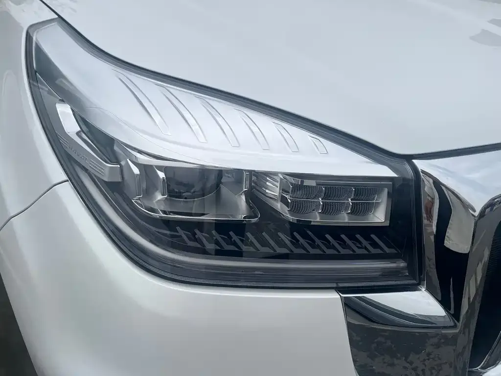 Haval H9 2021 из CN, фото 2