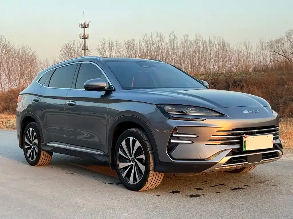 BYD PLUS New Energy — фото 4
