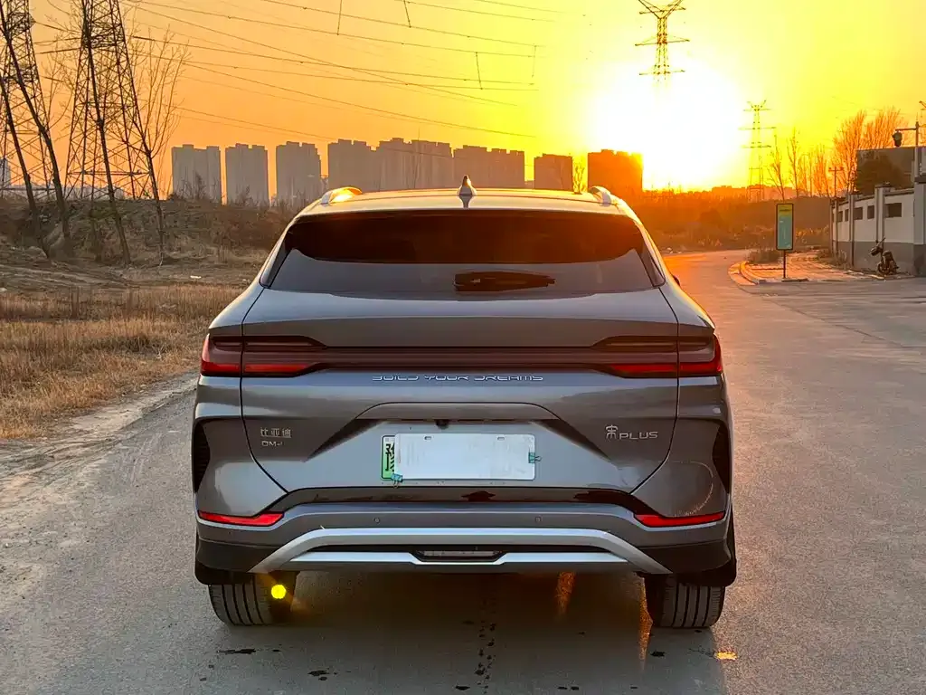 BYD PLUS New Energy — фото 6