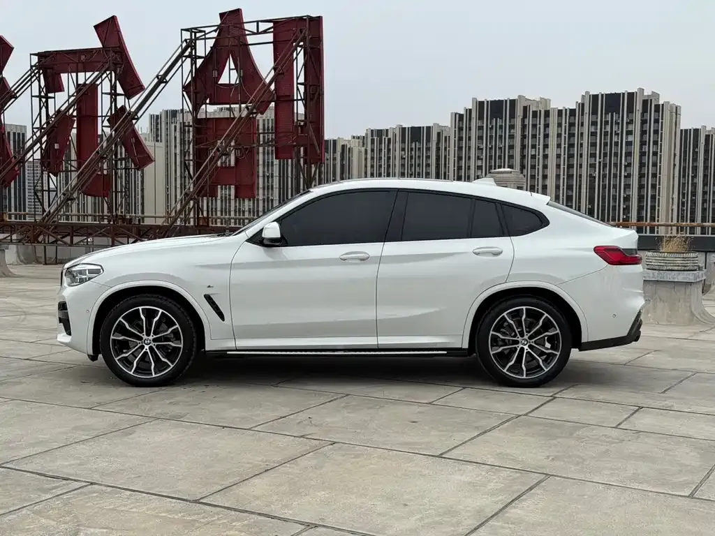 BMW X4 2021 из CN, фото 4