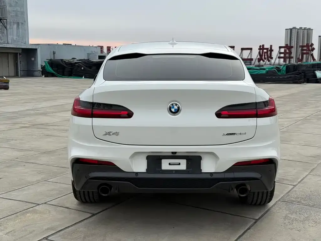 BMW X4 2021 из CN, фото 5
