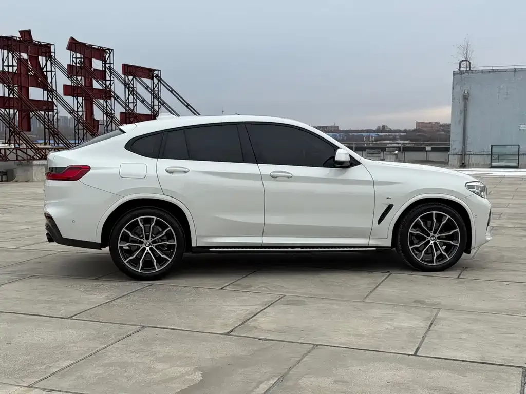 BMW X4 2021 из CN, фото 3