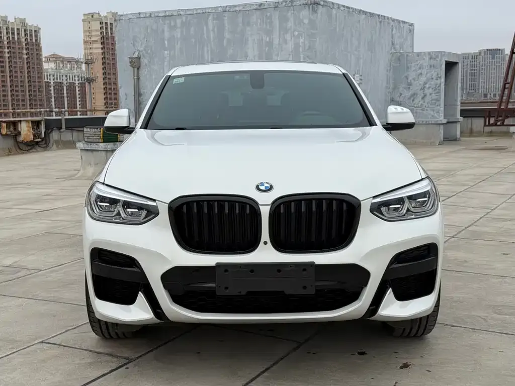 BMW X4 2021 из CN, фото 6
