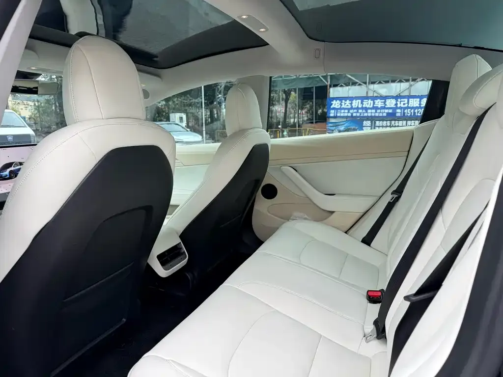 Tesla Model 3 2023 из CN, фото 2