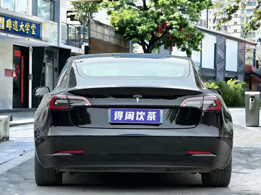 Tesla Model 3 2023 из CN, фото 3