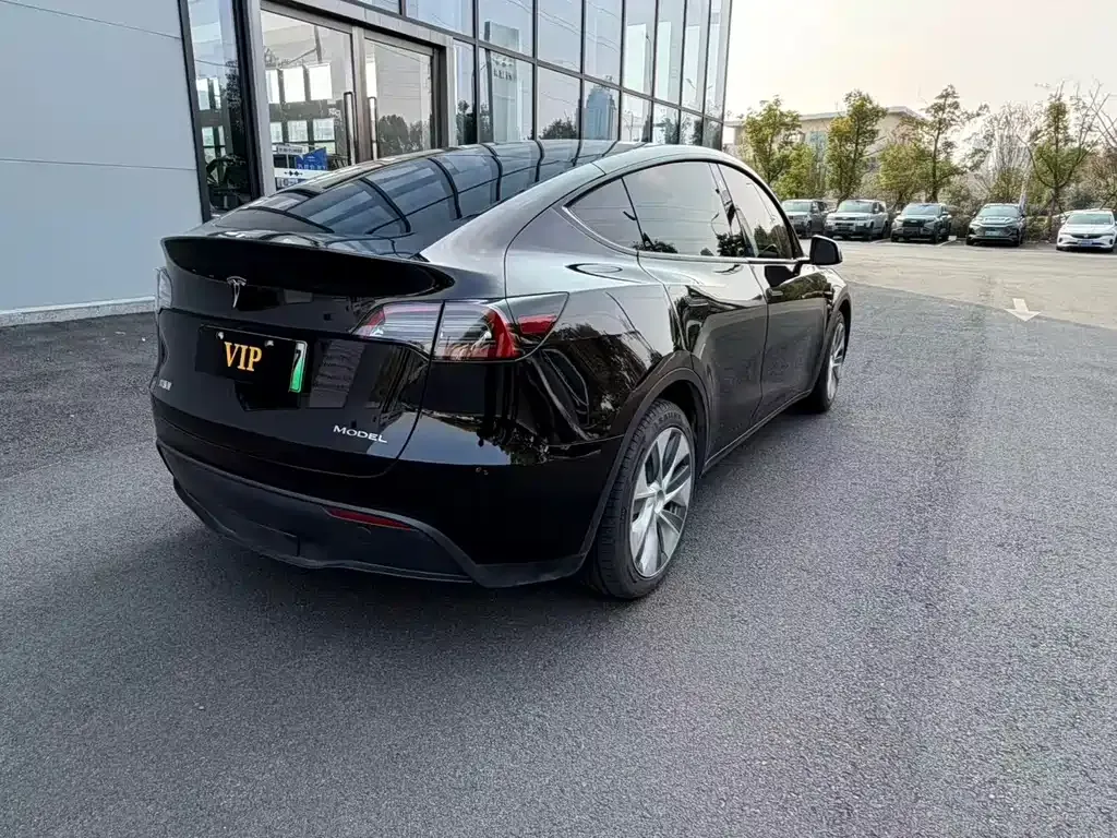 Tesla Model Y — фото 9