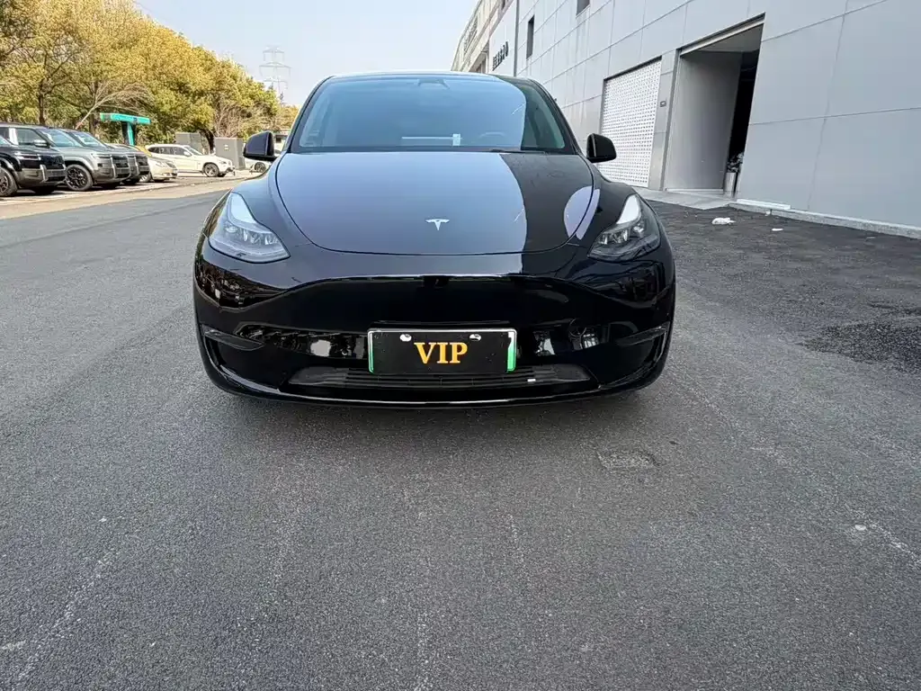 Tesla Model Y — фото 8