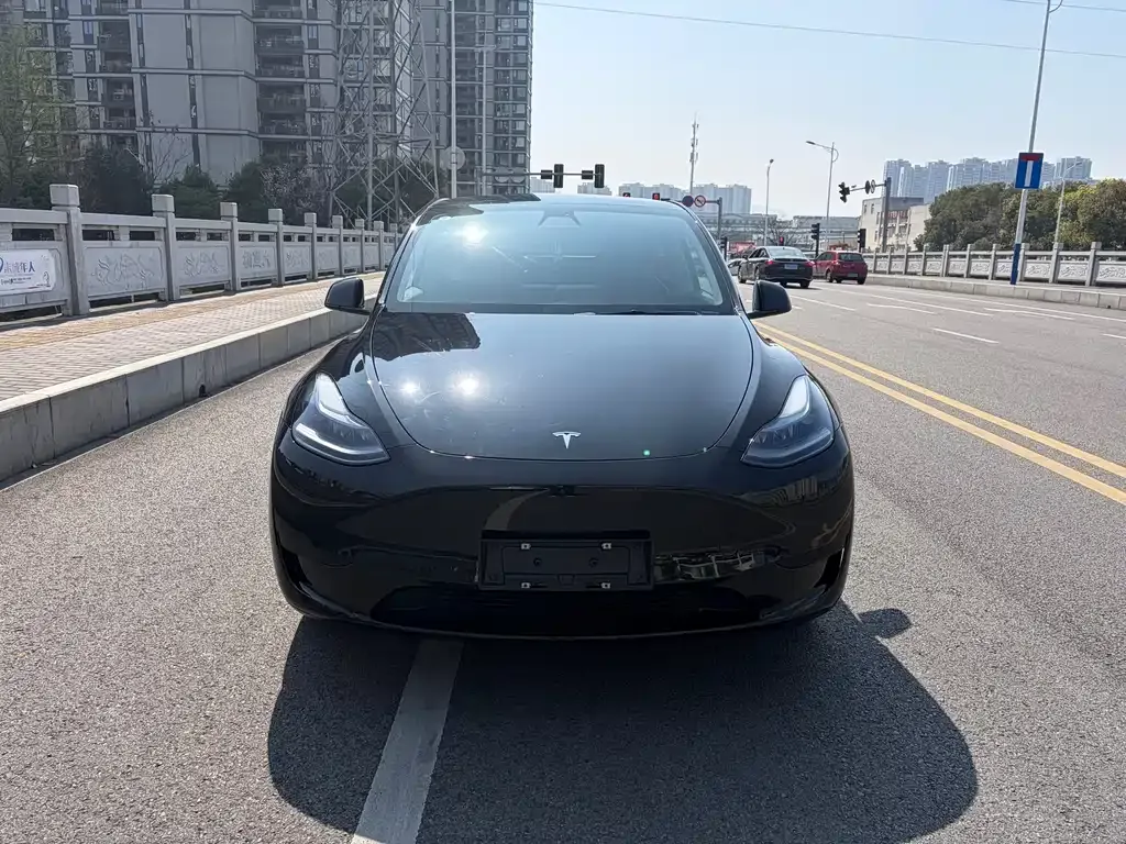 Tesla Model Y — фото 7