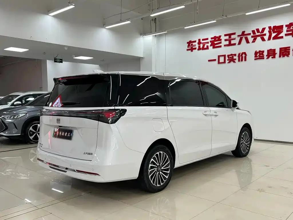 Buick GL8 Hybrid — фото 7
