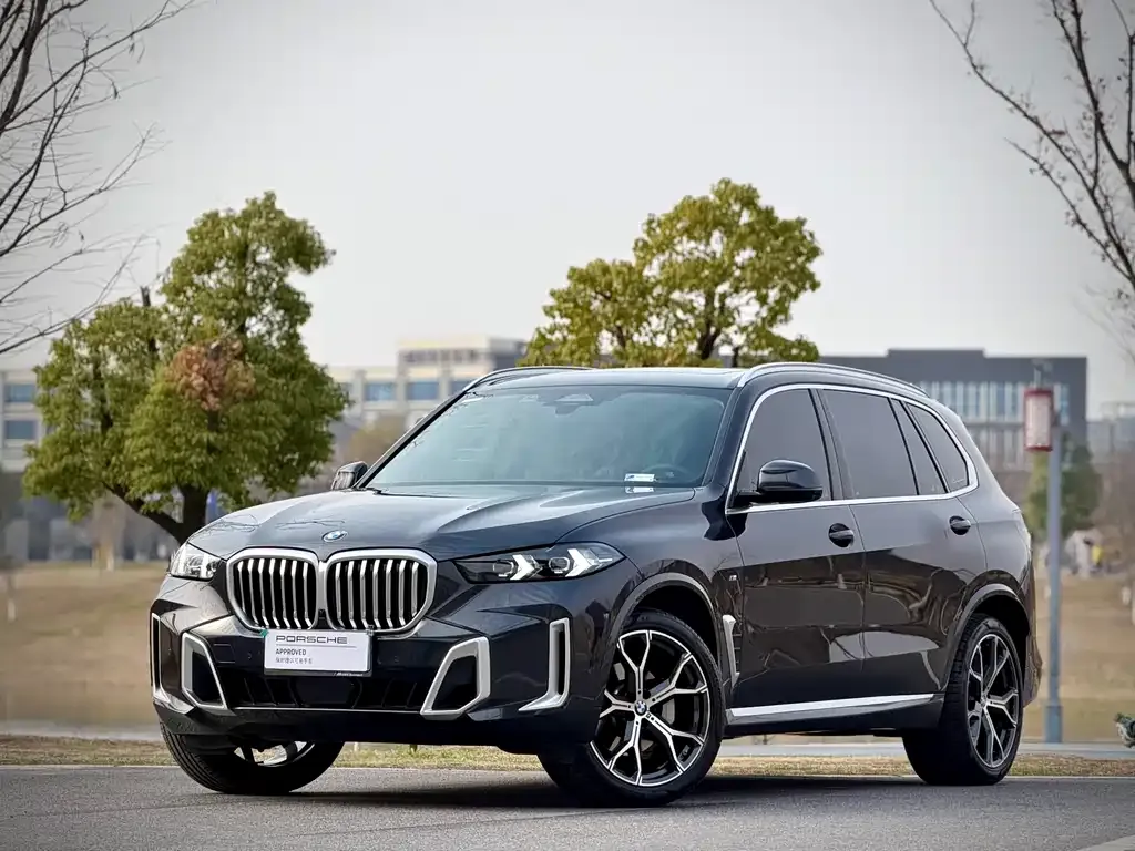 BMW X5 — фото 1