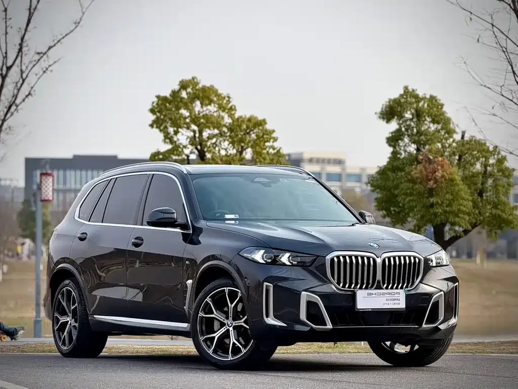 BMW X5 — фото 5