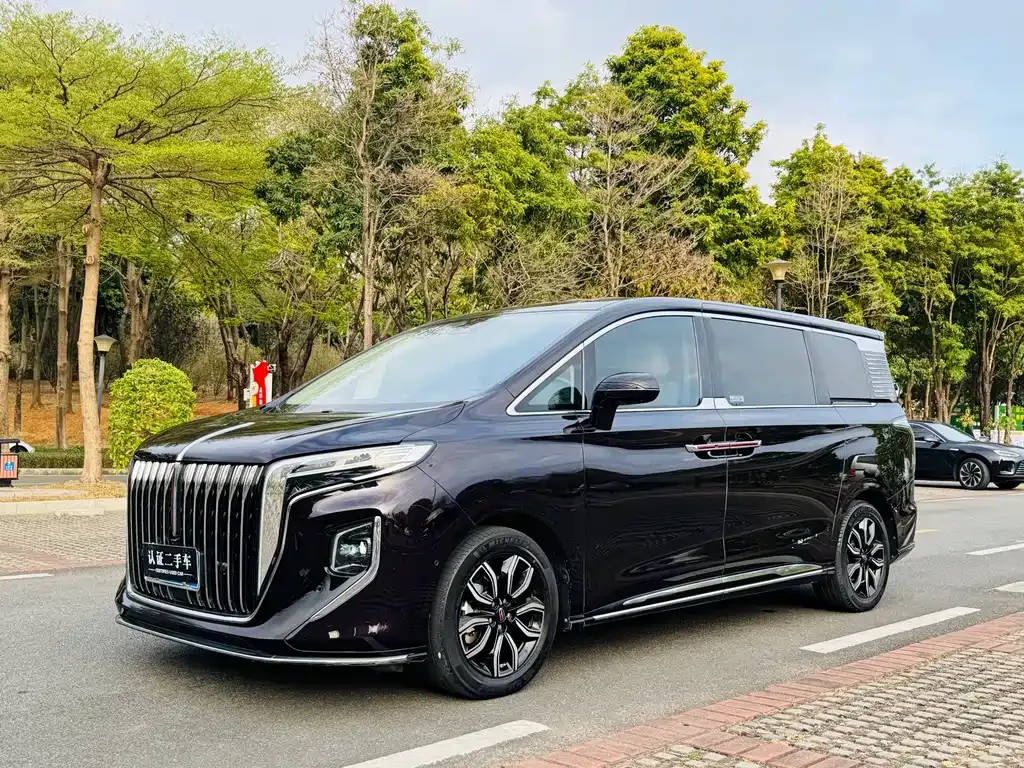 Hongqi HQ9 — фото 1