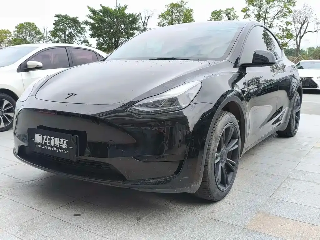 Tesla Model Y — фото 1