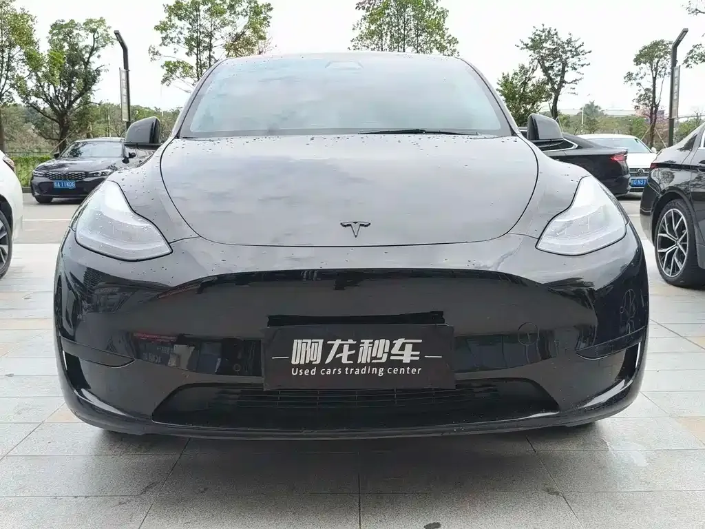 Tesla Model Y — фото 7