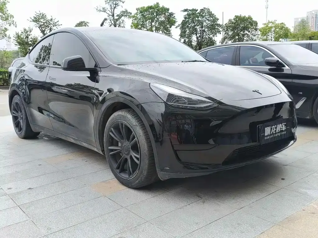 Tesla Model Y — фото 3