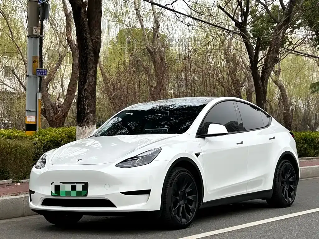 Tesla Model Y — фото 1