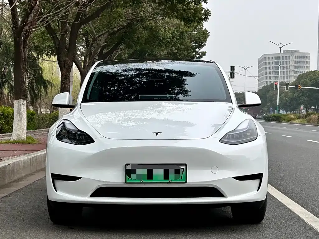 Tesla Model Y — фото 8