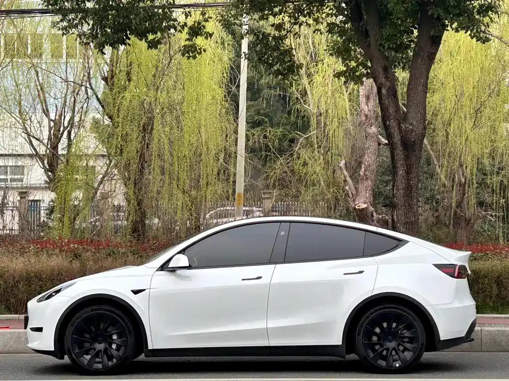 Tesla Model Y — фото 10