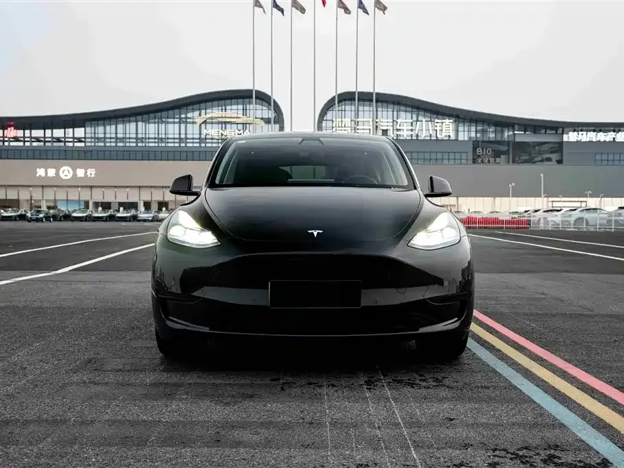 Tesla Model Y — фото 10