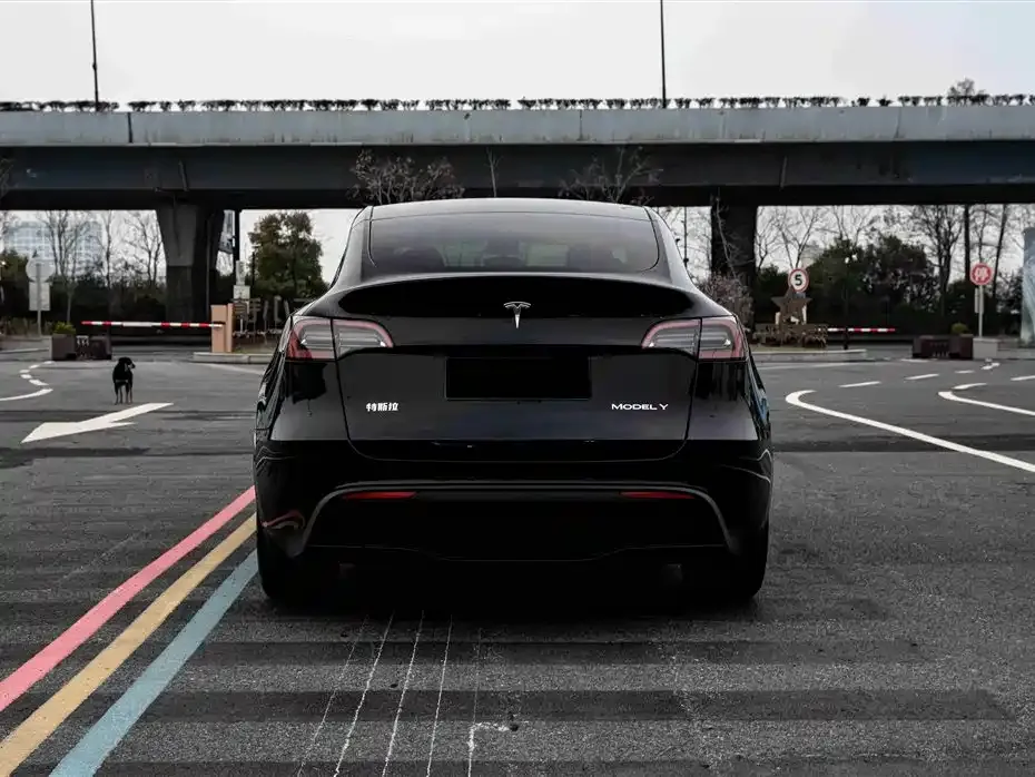 Tesla Model Y — фото 6