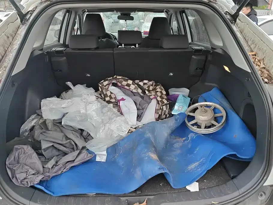Toyota RAV4 2022 из CN, фото 8