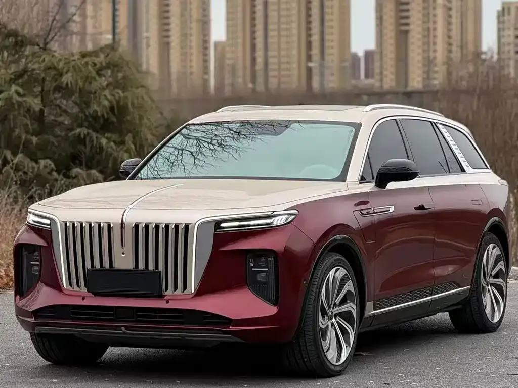 Hongqi E-HS9 2021 из CN, фото 1