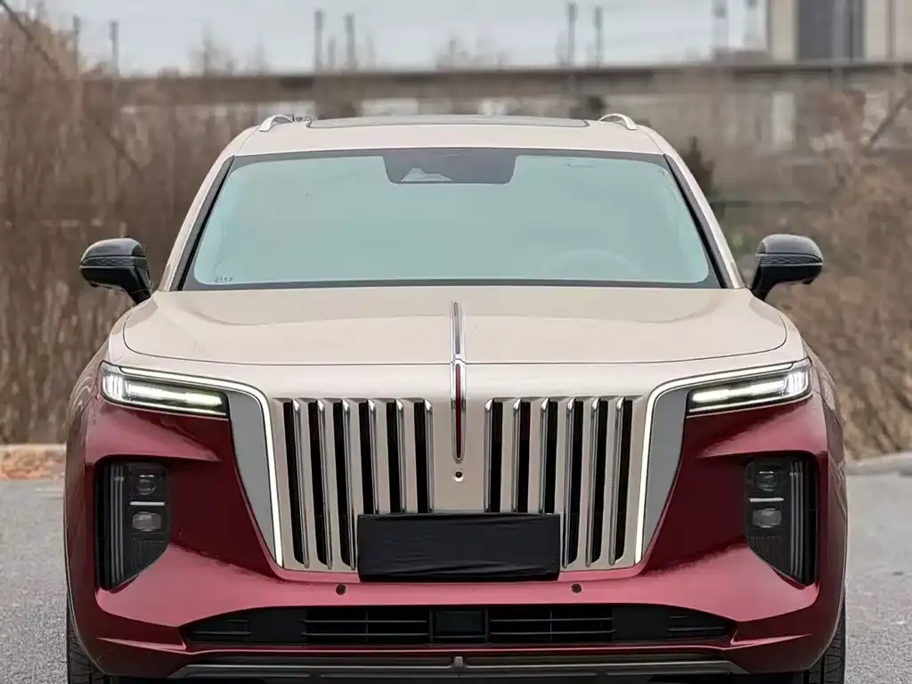 Hongqi E-HS9 2021 из CN, фото 4