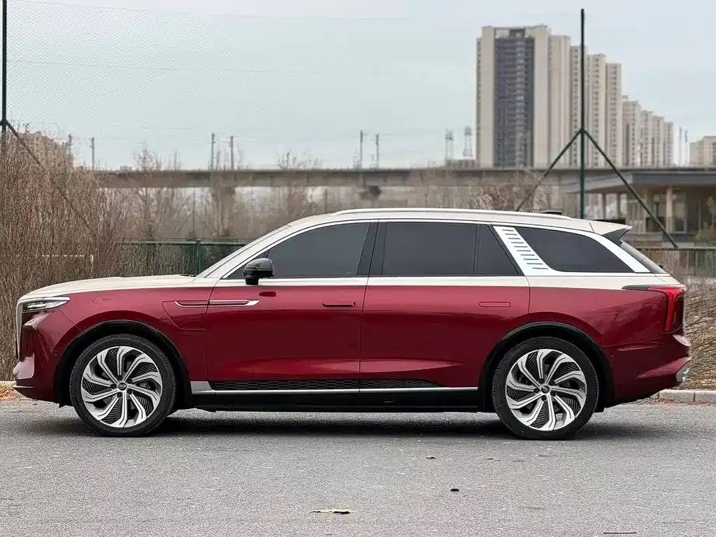 Hongqi E-HS9 2021 из CN, фото 5
