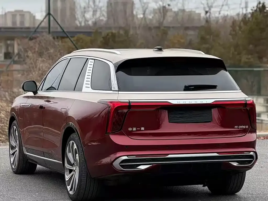Hongqi E-HS9 2021 из CN, фото 6