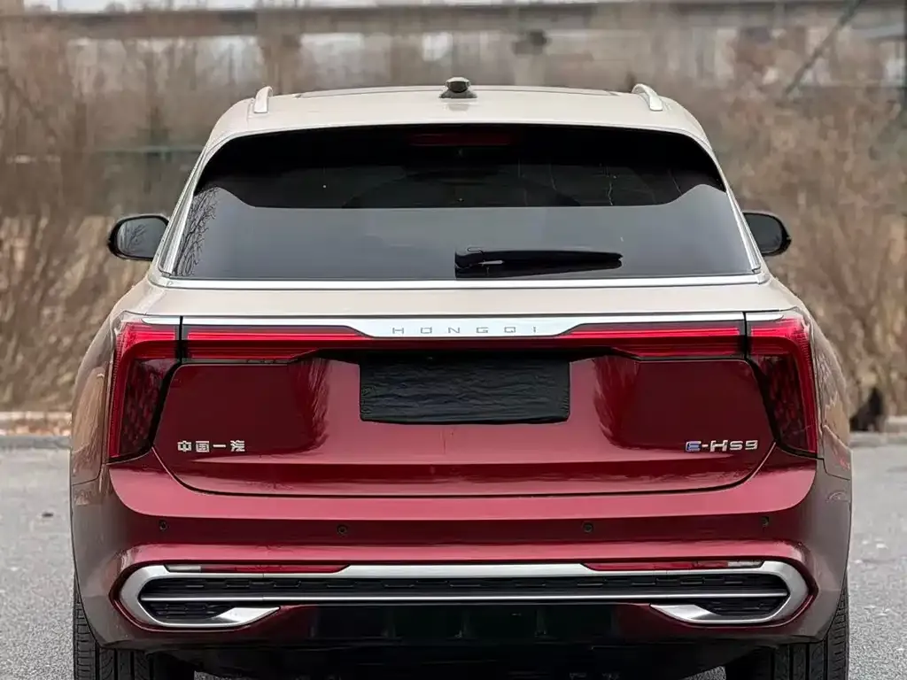 Hongqi E-HS9 2021 из CN, фото 8