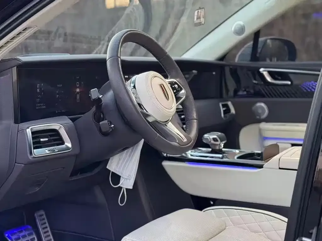 Hongqi E-HS9 2021 из CN, фото 2