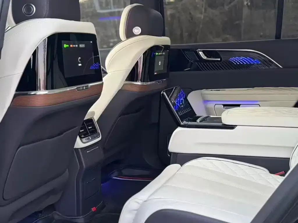 Hongqi E-HS9 2021 из CN, фото 3
