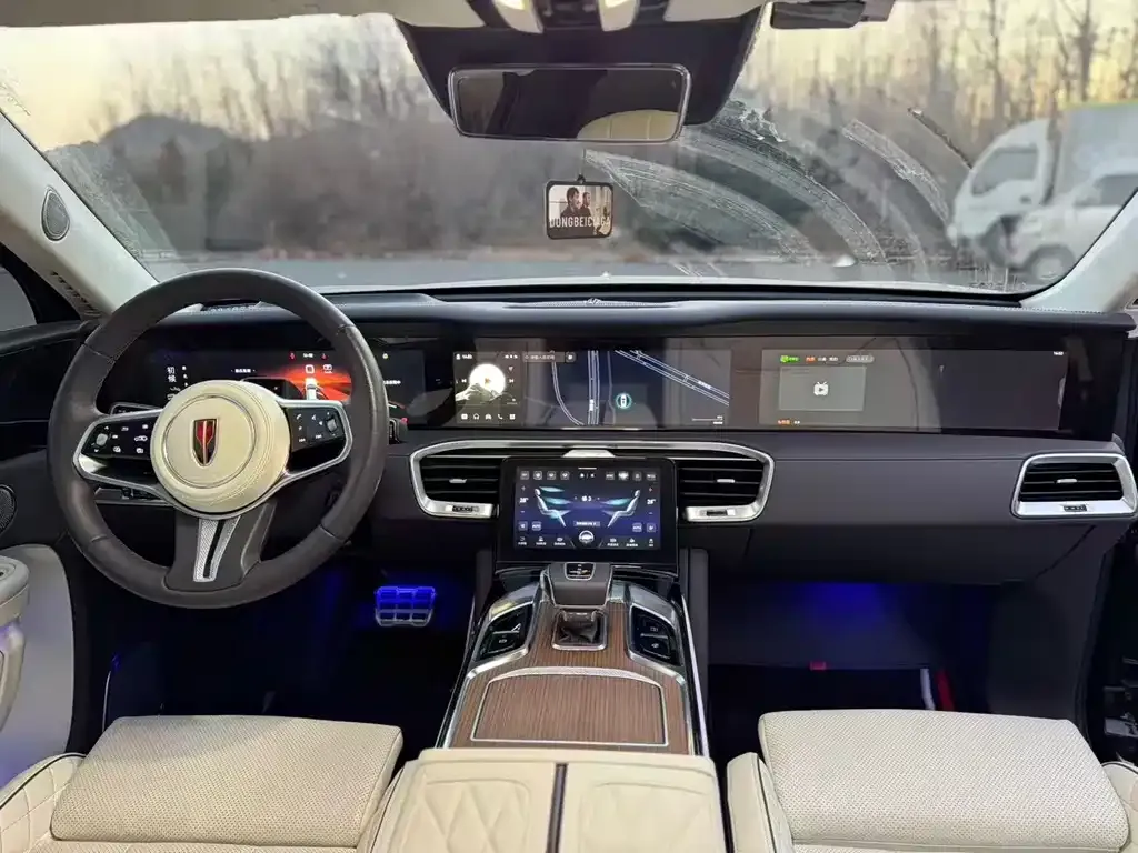Hongqi E-HS9 2021 из CN, фото 9