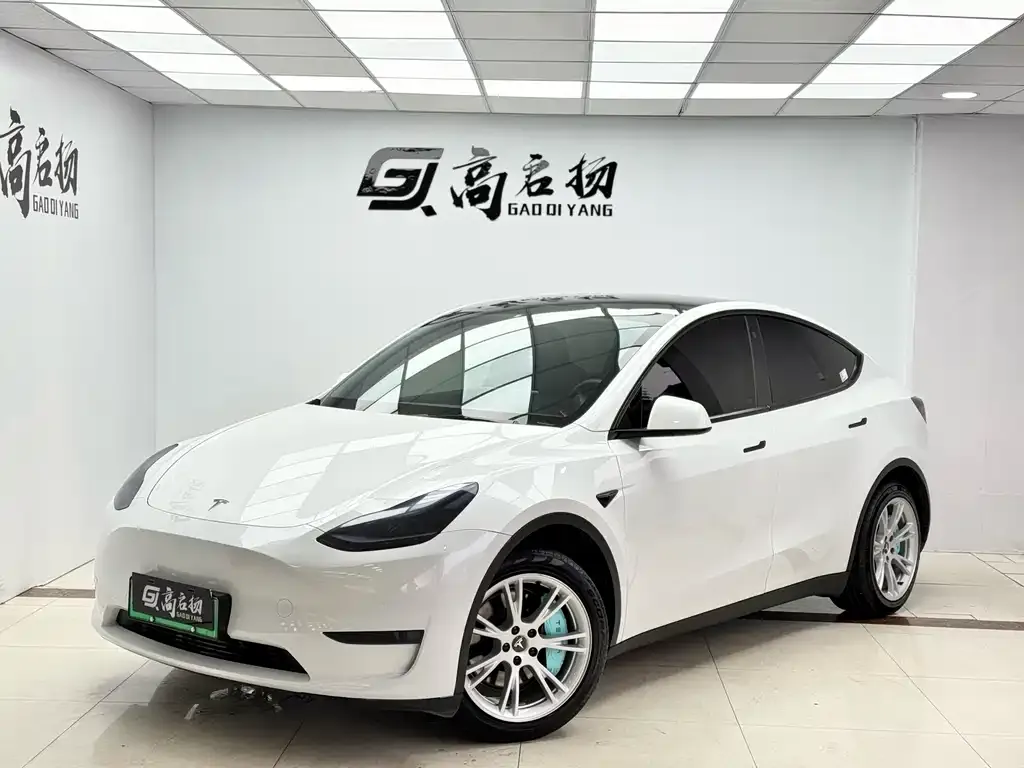 Tesla Model Y — фото 1