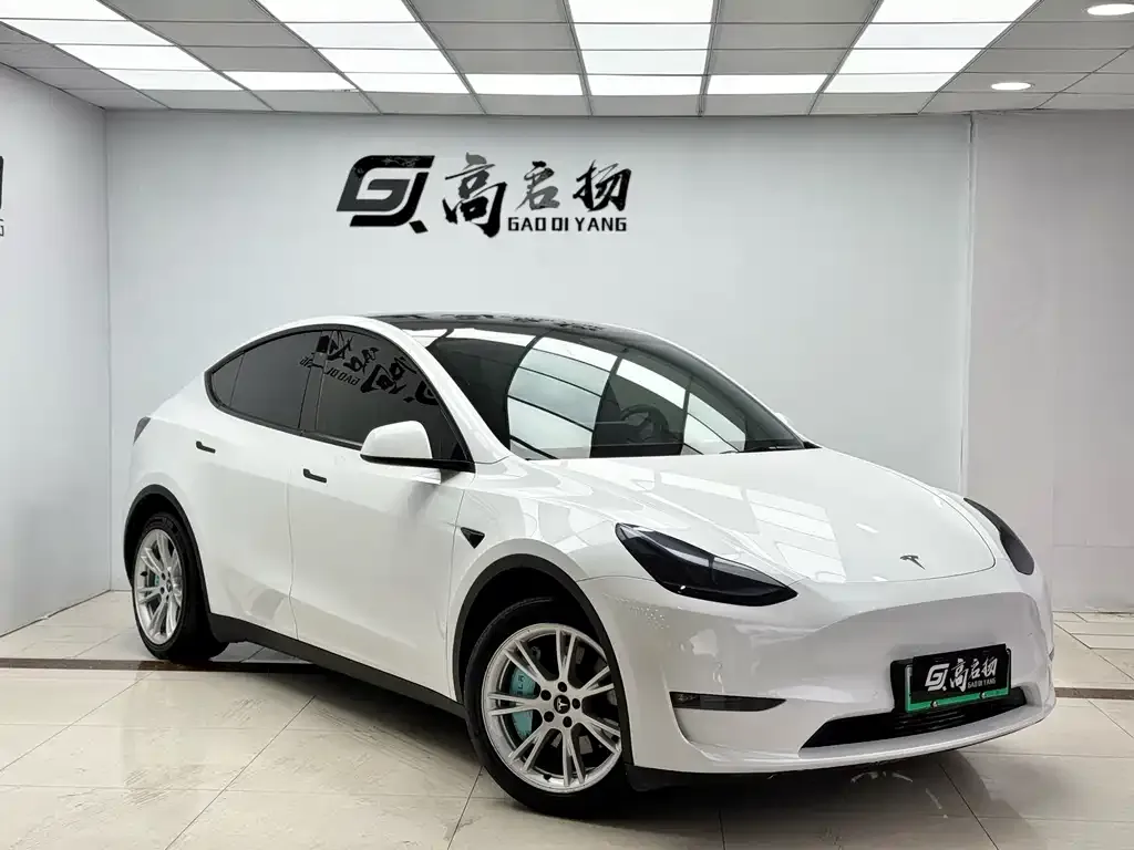 Tesla Model Y — фото 10