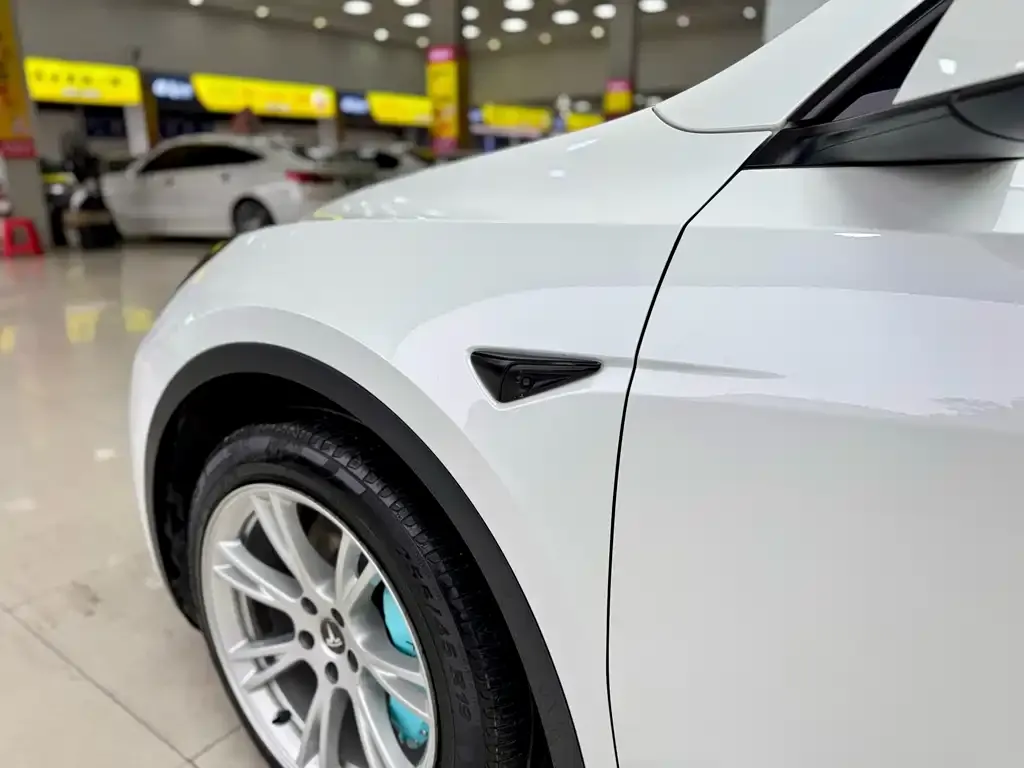 Tesla Model Y — фото 6