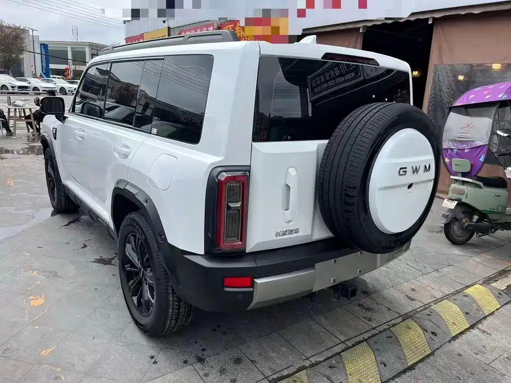 Haval Raptor 2025 из CN, фото 4