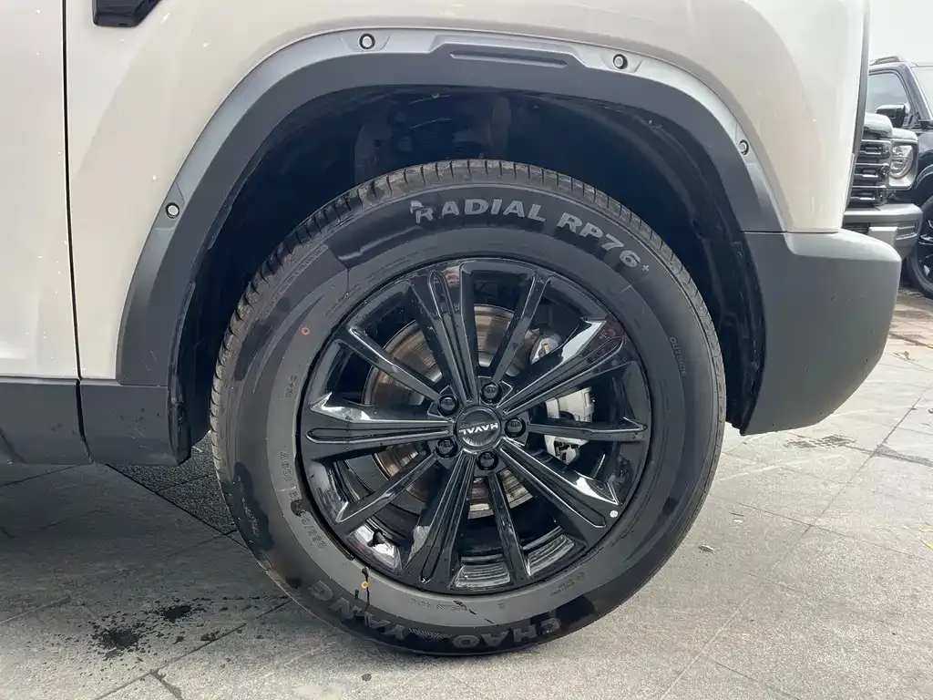 Haval Raptor 2025 из CN, фото 5