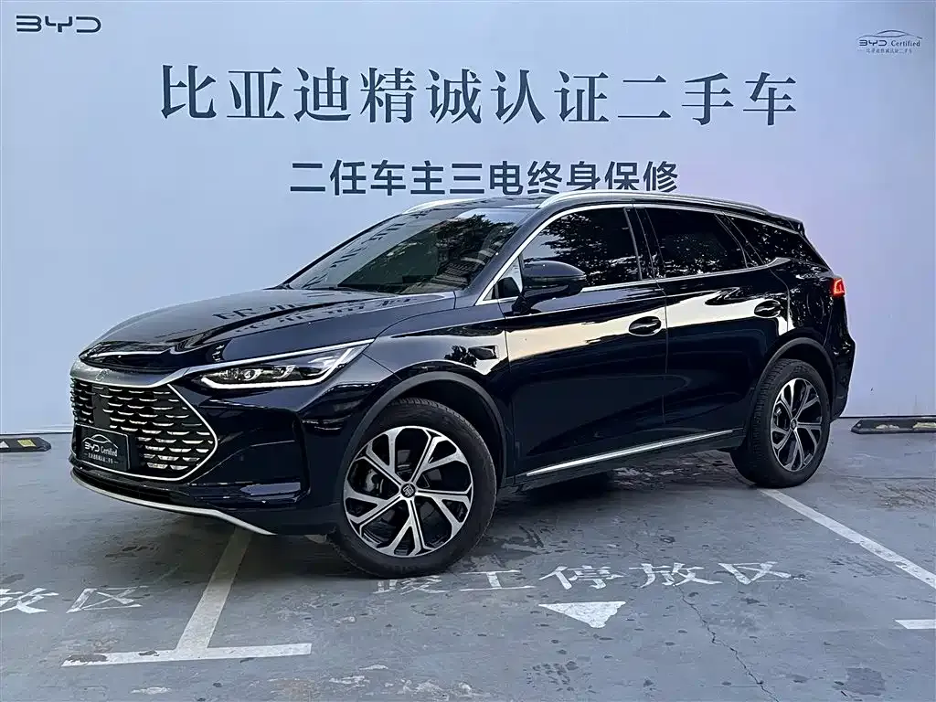 BYD Tang New Energy 2025 из CN, фото 1